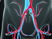 Less vain and more vein: Evaluating the perceptions of venous disease amongst the vascular surgery community