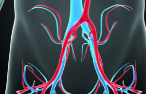 Less vain and more vein: Evaluating the perceptions of venous disease amongst the vascular surgery community