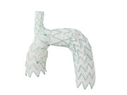 Endospan releases early TRIOMPHE IDE study results at Society of Thoracic Surgeons annual meeting