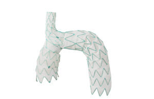 Endospan releases early TRIOMPHE IDE study results at Society of Thoracic Surgeons annual meeting