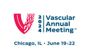 VAM 2024 recordings available now