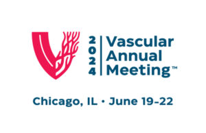 VAM 2024 recordings available now