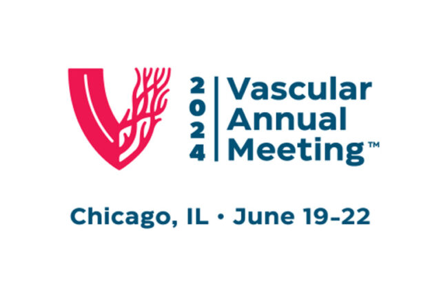 VAM 2024 feature image