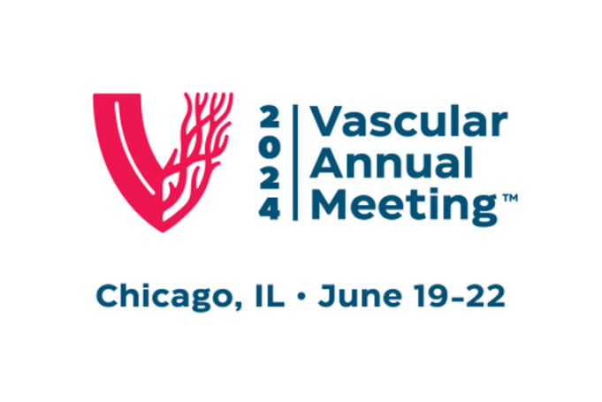 VAM 2024 recordings available now