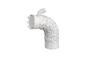 Gore announces first commercial implant of Gore Tag thoracic branch endoprosthesis in Canada