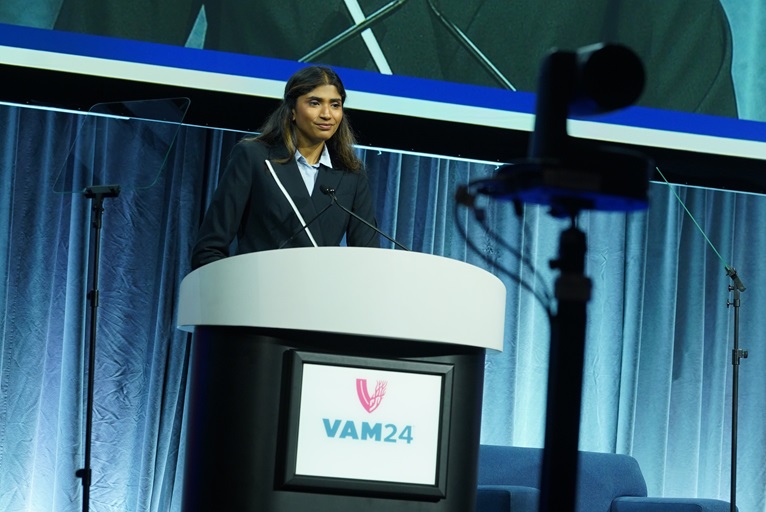 Early vascular evaluation can ‘significantly supplement’ wound healing and limit resource waste