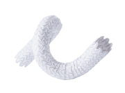 Wrapsody WAVE trial demonstrates superior patency versus standard of care in AV fistula patients