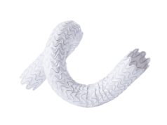 Wrapsody WAVE trial demonstrates superior patency versus standard of care in AV fistula patients