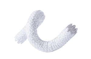 Wrapsody WAVE trial demonstrates superior patency versus standard of care in AV fistula patients