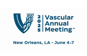 Submit session proposals for VAM 2025