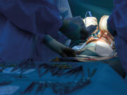 APDVS launches vascular surgery curriculum e-book for medical students