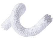 Merit Medical announces FDA approval of the Wrapsody cell-impermeable endoprosthesis Wrapsody device