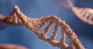 Mentorship takes center stage at VRIC 2025