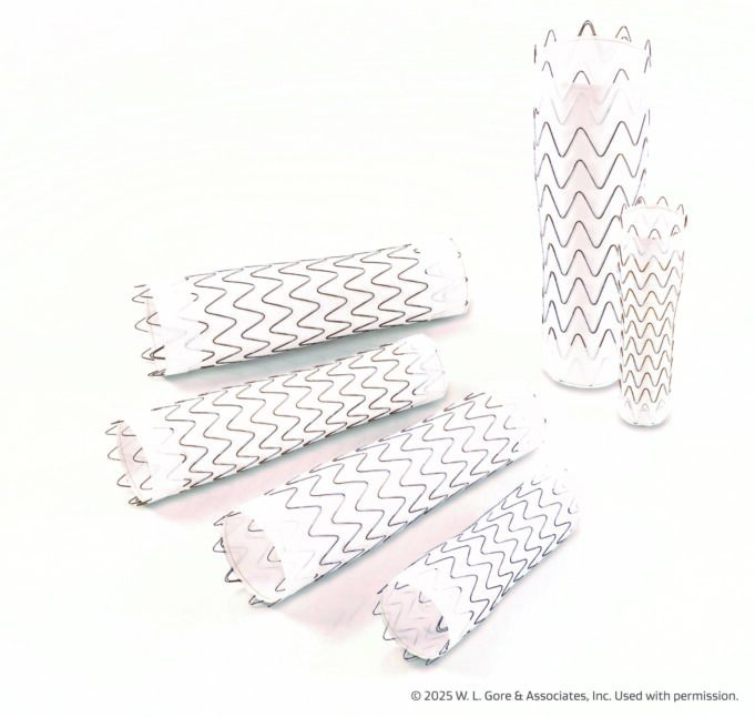 Gore announces FDA approval and first commercial implant of large-diameter thoracic tapers