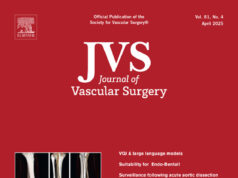 Search for new JVS editor-in-chief has commenced
