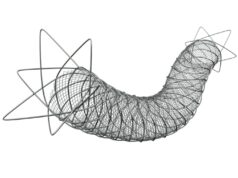 Terumo announces commercial availability of Roadsaver carotid stent system