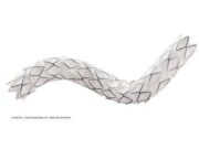 Gore announces MDR expanded indication for the Viabahn VBX balloon-expandable endoprosthesis as a bridging stent VBX stent graft