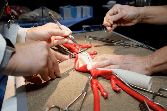 Explore the future of vascular surgery at Touchpoint@VAM