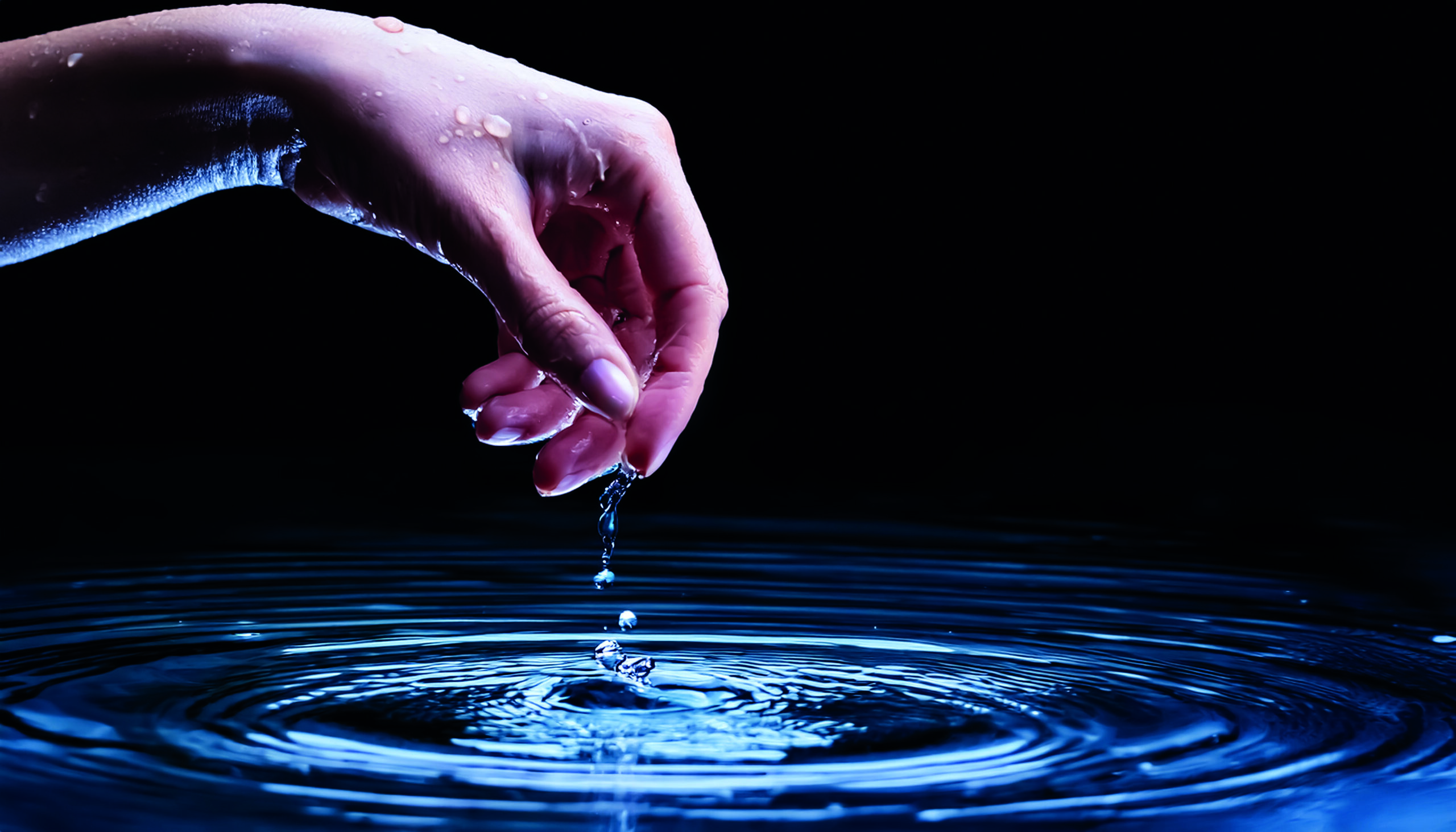 AI: Where it lands today and how it might impact the vascular future