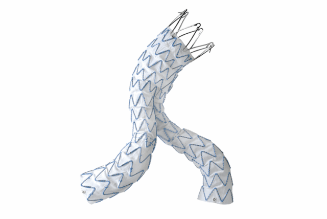 Medtronic Endurant web