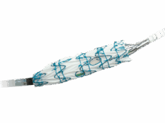 Terumo Aortic announces launch of Fenestrated Treo pivotal IDE study in US