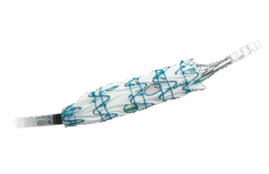 Terumo Aortic announces launch of Fenestrated Treo pivotal IDE study in US