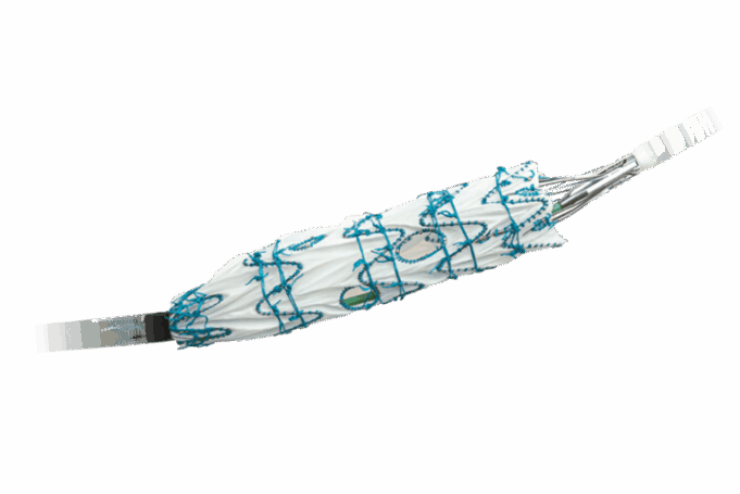 Terumo Aortic announces launch of Fenestrated Treo pivotal IDE study in US