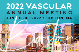 Members involved in suggesting topics for VAM 2022 sessions