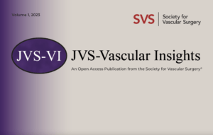 JVS JVS-VL