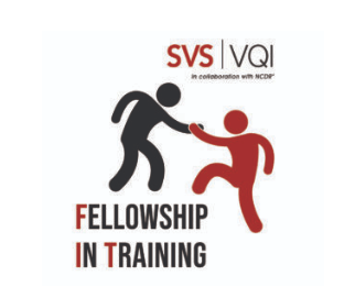 VQI Fellows in Training  program marks one year