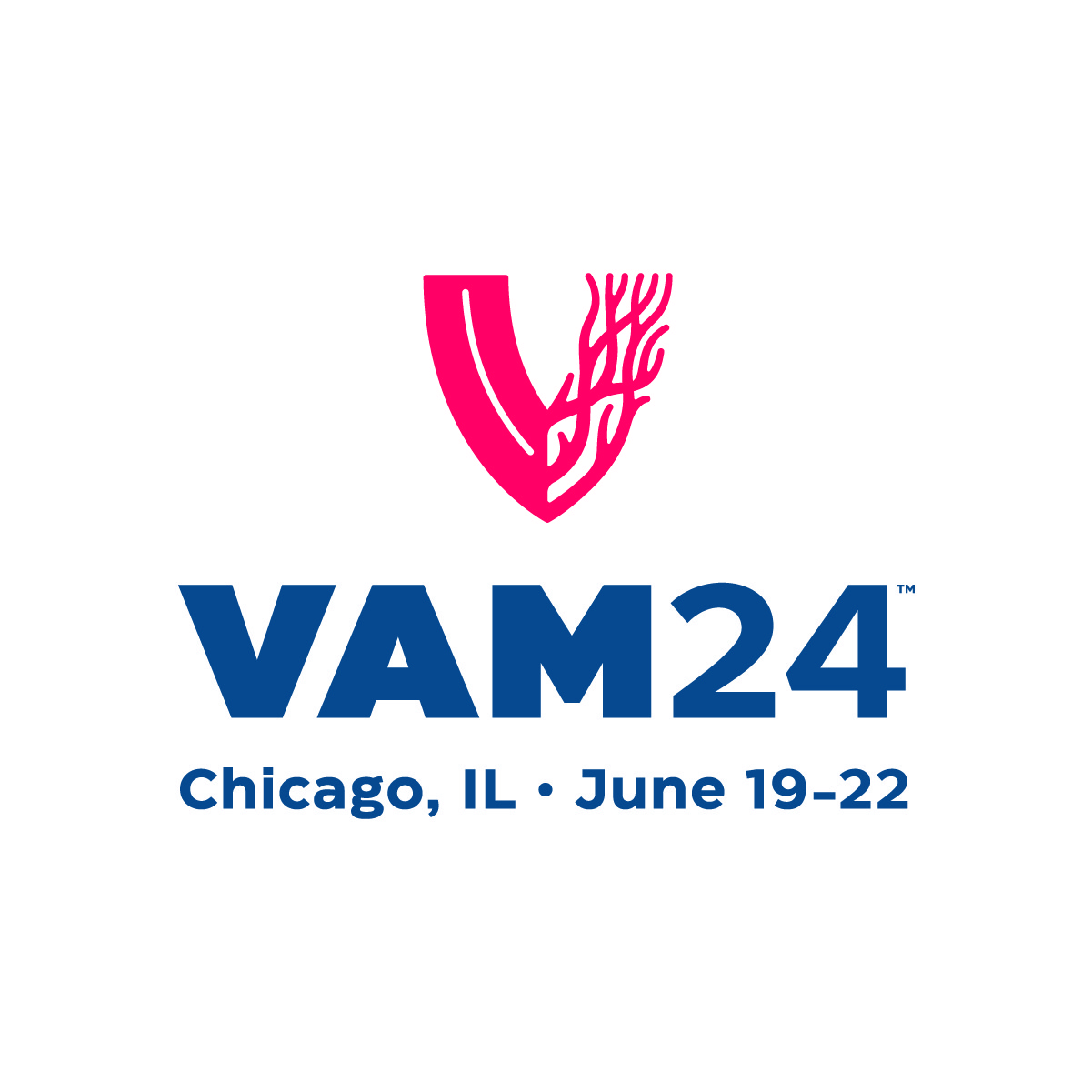 Prepare to submit research for VAM 2024