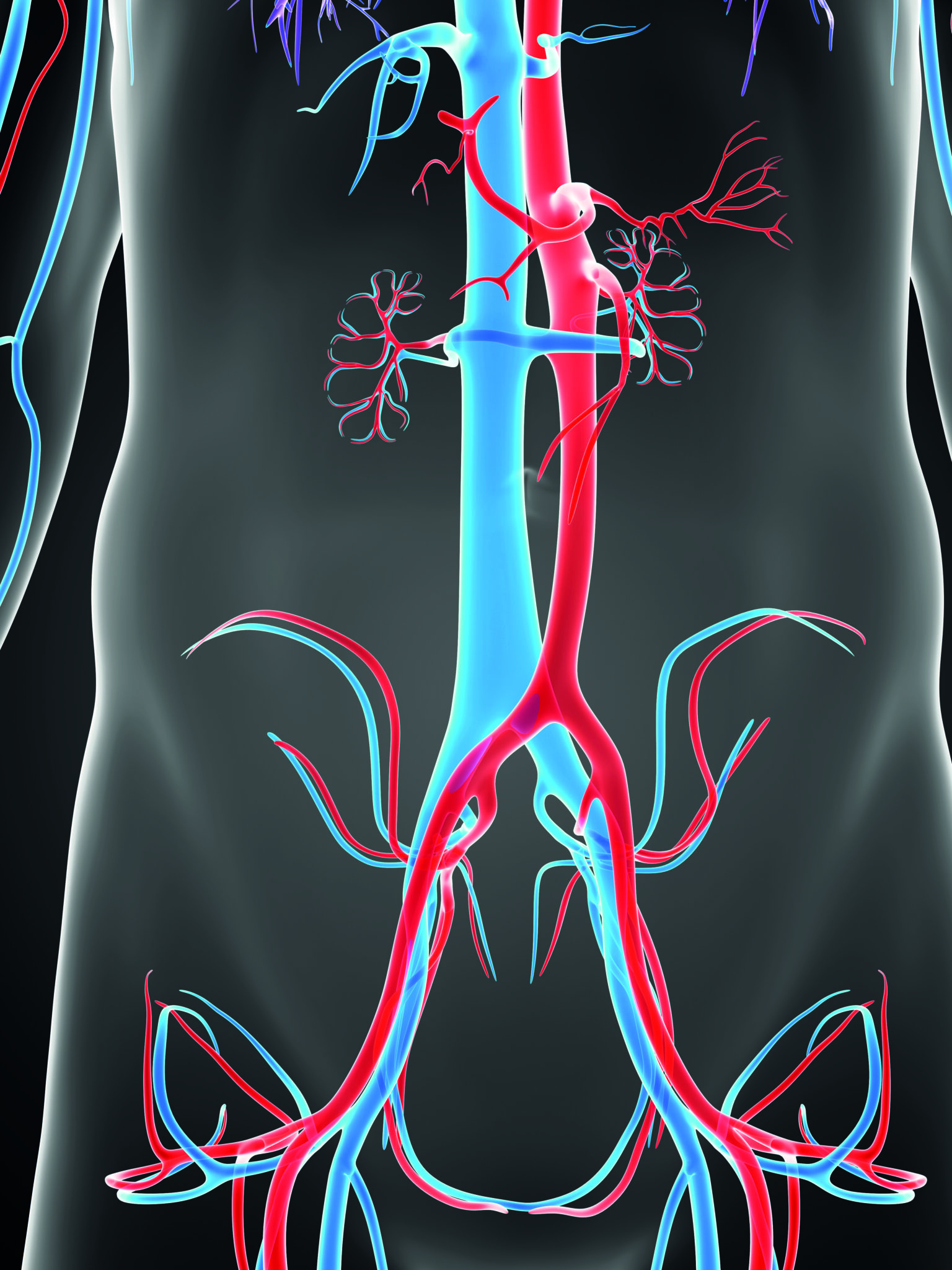 Survey suggests venous work less valued than arterial interventions