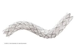 Gore announces MDR expanded indication for the Viabahn VBX balloon-expandable endoprosthesis as a bridging stent VBX stent graft